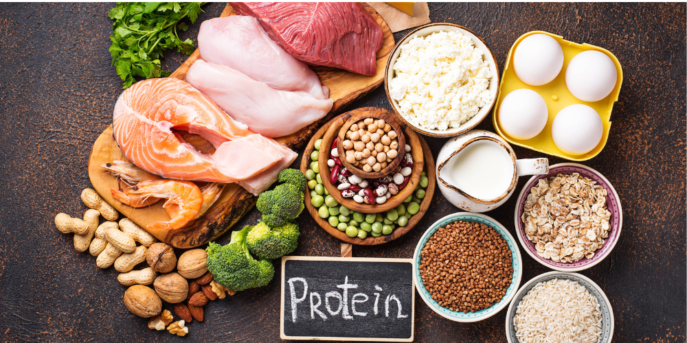 plant vs animal protein cover